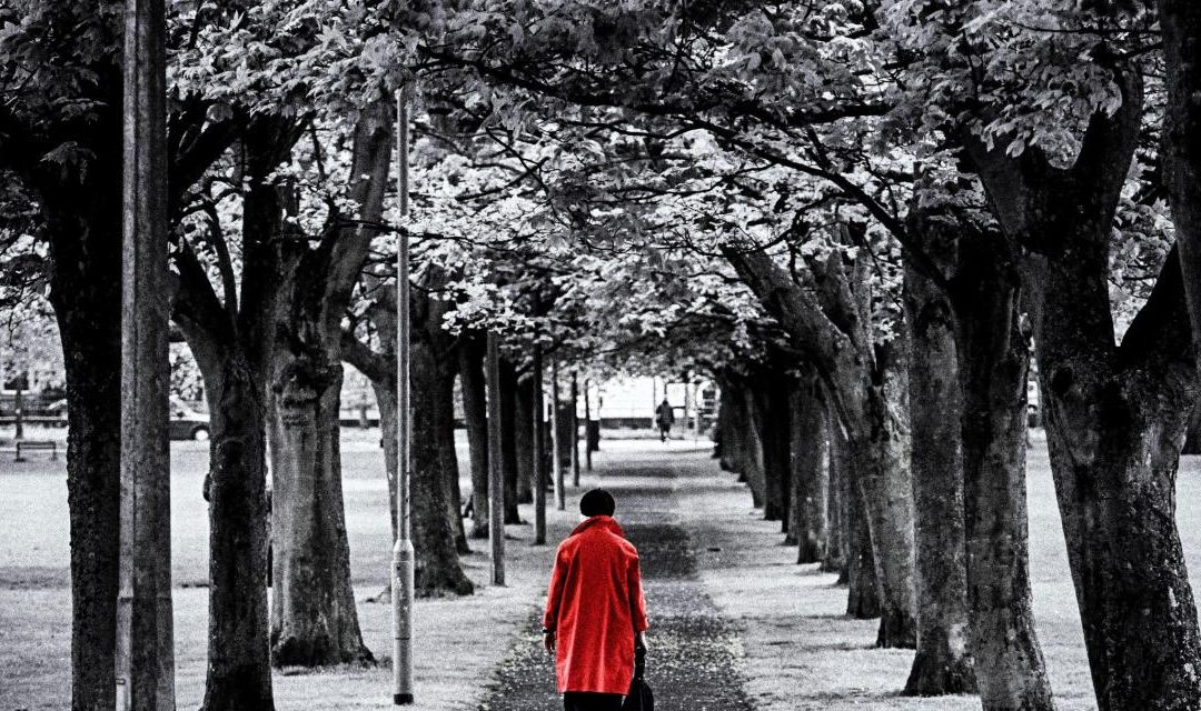 ¿Cuándo debería dejar de luchar?